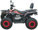 Квадроцикл FORTE ATV-200BS PRO KVD-336 фото 3