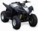 Квадроцикл Kymco Maxxer 90 (Mongoose) KVD-171 фото 1