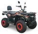 Квадроцикл FORTE ATV-200BS PRO KVD-336 фото 1