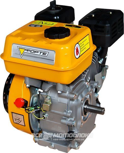 Двигун FORTE F210GT-25 (Під шліци &Oslash; 25 мм) FAGR-026 фото