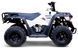 Квадроцикл LINHAI-Yamaha M150 KVD-071 фото 2