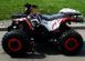 Квадроцикл COMMAN Hunter Scrambler 150cc KVD-021 фото 3