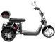 Электротрайк CityCoCo Trike Pro ELT-017 фото 2