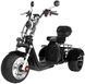 Электротрайк CityCoCo Trike Pro ELT-017 фото 6