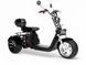 Електротрайк CityCoCo X11 Trike Pro (1500 Вт) ELT-018 фото 1