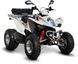 Квадроцикл Kymco Maxxer 300 KVD-173 фото 1