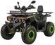Квадроцикл ASIX Ranger 200 KVD-296 фото 2