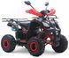 Квадроцикл SPARK SP110-4 KVD-249 фото 1
