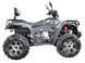 Квадроцикл LINHAI LH400ATV-D EFI PROMAX KVD-224 фото 2