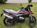 Мотоцикл FORTE FT300GY-CWD MOT-316 фото 6
