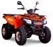 Квадроцикл LONCIN LX200 KVD-073 фото 1