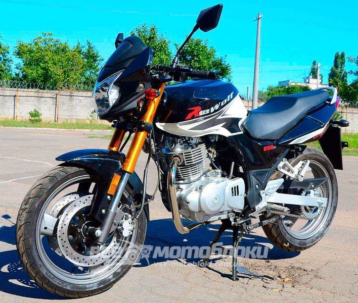 Мотоцикл SKYBIKE WOLF 250 MOT-340 фото