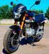 Мотоцикл SKYBIKE WOLF 250 MOT-340 фото 3