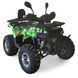 Квадроцикл SPARK SP125-13 KVD-319 фото 1