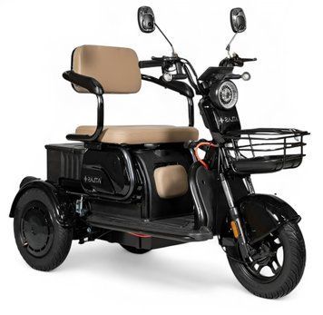 Электроскутер ATLAS Elegant Trike ELS-187 фото