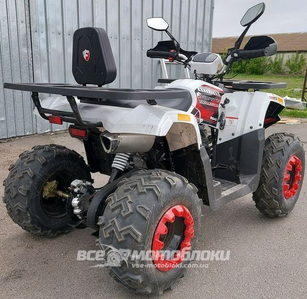Квадроцикл FORTE BRAVES 200 LUX KVD-125 фото