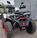 Квадроцикл FORTE BRAVES 200 LUX KVD-125 фото 5