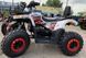 Квадроцикл FORTE BRAVES 200 LUX KVD-125 фото 3