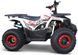Квадроцикл FORTE BRAVES 200 LUX KVD-125 фото 2