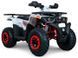 Квадроцикл FORTE BRAVES 200 LUX KVD-125 фото 1