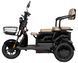 Електроскутер ATLAS Elegant Trike ELS-187 фото 4