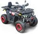 Квадроцикл COMMAN Scorpion 200cc KVD-024 фото 1