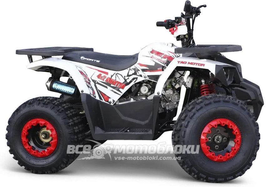 Квадроцикл FORTE BRAVES 200 LUX KVD-125 фото
