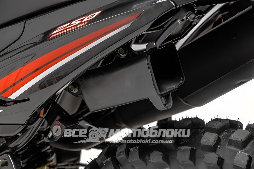Мотоцикл VIPER V250L DRAGON MOT-595 фото