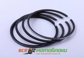 Кольца 75,0 mm STD - 175N 3339-ТЗ фото