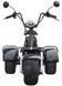 Електротрайк Maxxter TRIKE ELT-021 фото 3