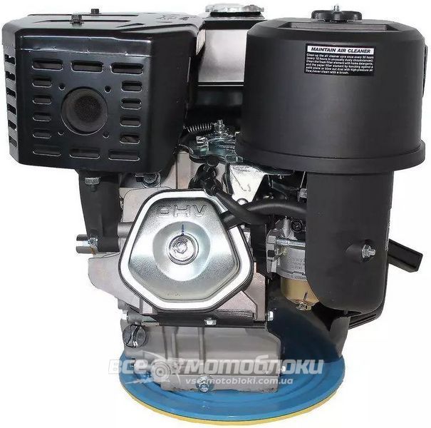 Двигун GrunWelt GW460F-S 20084 фото