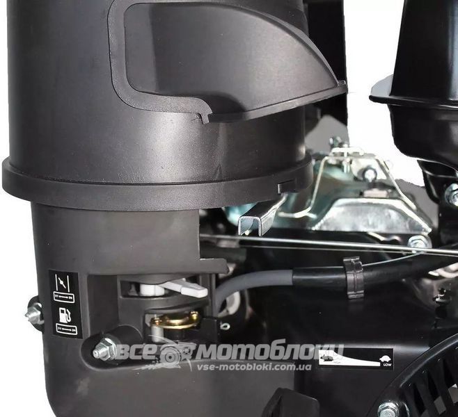 Двигун GrunWelt GW460F-S 20084 фото