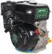 Двигун GrunWelt GW460F-S 20084 фото 1