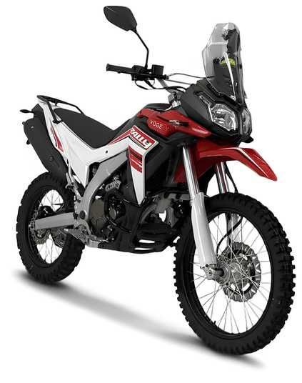 Купить Мотоцикл LONCIN LX300GY-A DS2 PRO с доставкой в интернет