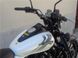 Мотоцикл BAJAJ AVENGER STREET 220 MOT-018 фото 25