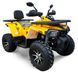 Квадроцикл COMMAN Shark 200cc KVD-026 фото 1