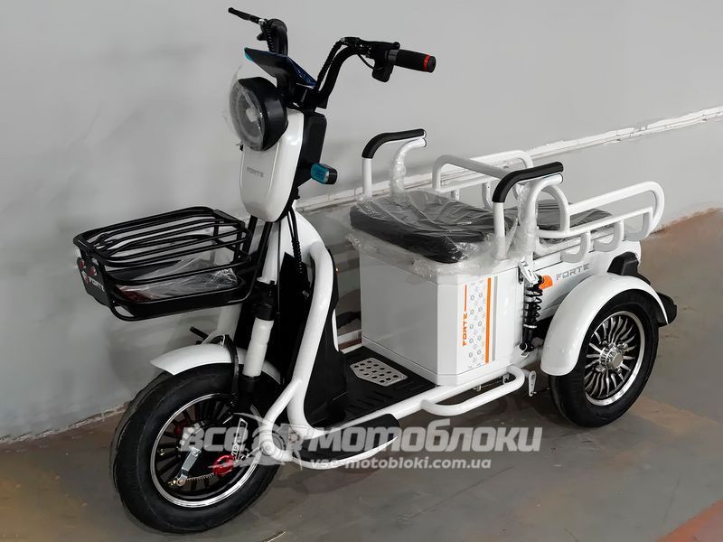 Электротрайк FORTE СARGO ELT-022 фото