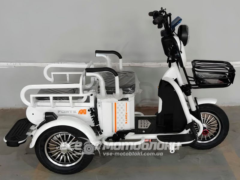 Электротрайк FORTE СARGO ELT-022 фото