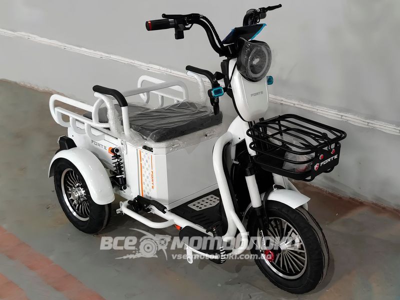 Электротрайк FORTE СARGO ELT-022 фото