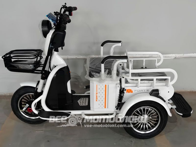 Электротрайк FORTE СARGO ELT-022 фото