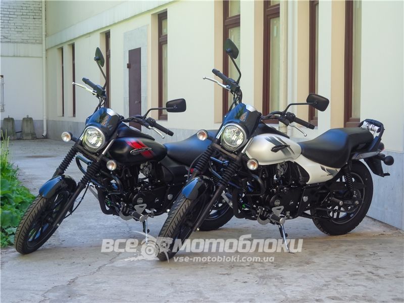 Мотоцикл BAJAJ AVENGER STREET 220 MOT-018 фото