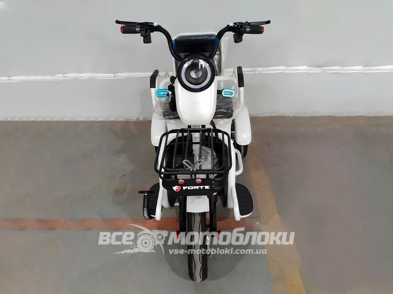 Электротрайк FORTE СARGO ELT-022 фото