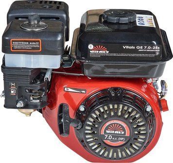 Двигатель Vitals GE 7.0-25s 165168 фото