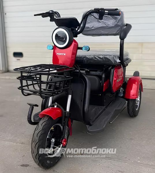 Электротрайк FORTE FAMILY MAX ELT-023 фото