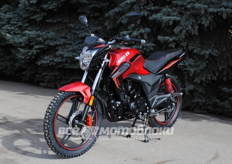 Мотоцикл SKYMOTO BIRD X6 200 MOT-270 фото