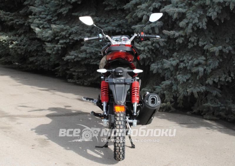 Мотоцикл SKYMOTO BIRD X6 200 MOT-270 фото
