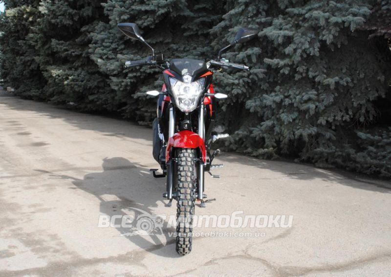 Мотоцикл SKYMOTO BIRD X6 200 MOT-270 фото