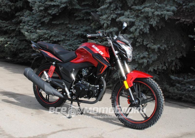 Мотоцикл SKYMOTO BIRD X6 200 MOT-270 фото