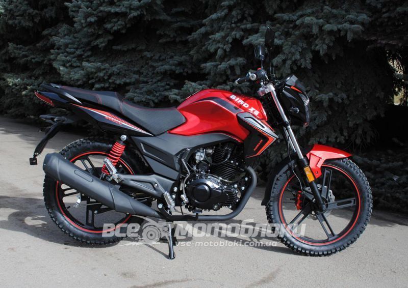 Мотоцикл SKYMOTO BIRD X6 200 MOT-270 фото