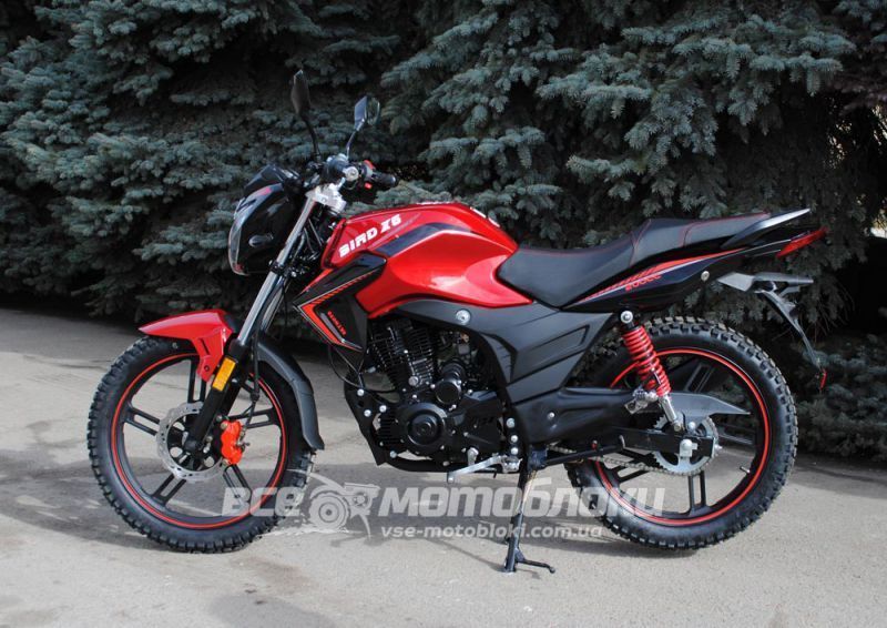 Мотоцикл SKYMOTO BIRD X6 200 MOT-270 фото